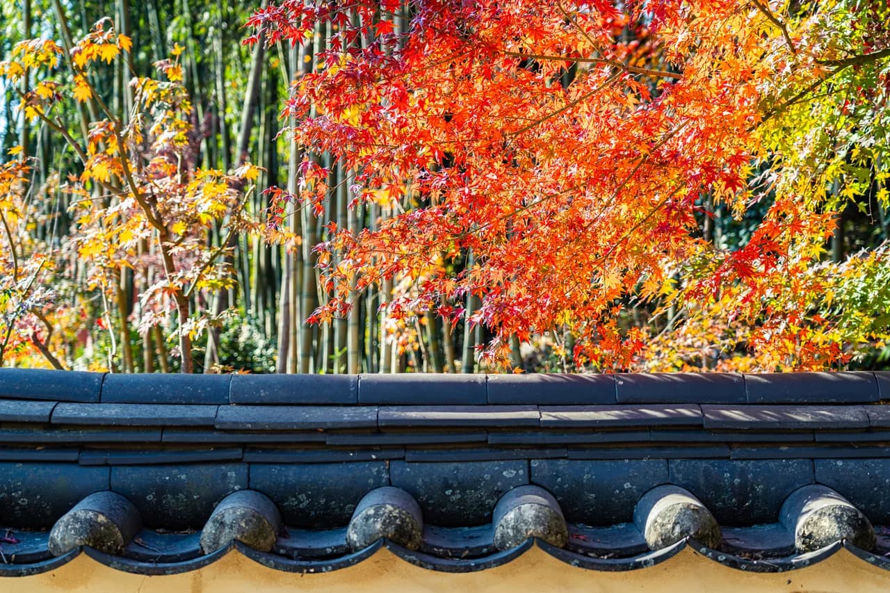 Busan Beomeosa Temple